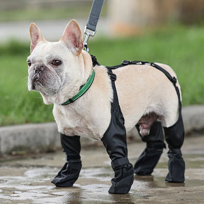 Orthopedic French Bulldog Boots
