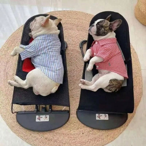 Portable Rocking Frenchie Chair