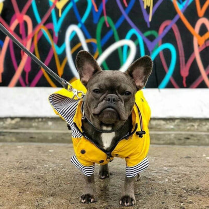 Rain Rover Frenchie Coat