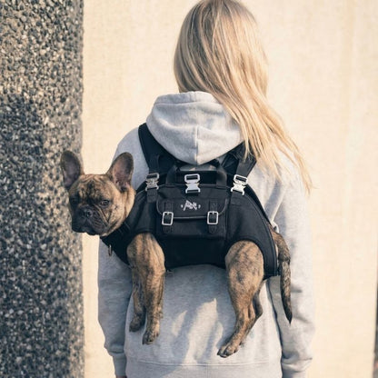 Shoulder French Bulldog Carrier