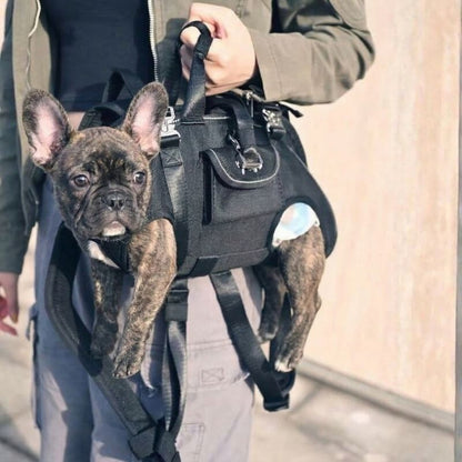 Shoulder French Bulldog Carrier