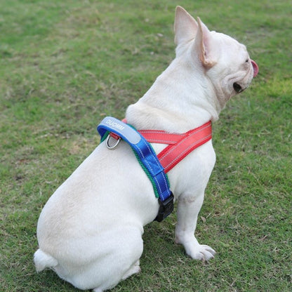 Summer French Bulldog Harness