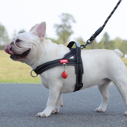 Summer French Bulldog Harness