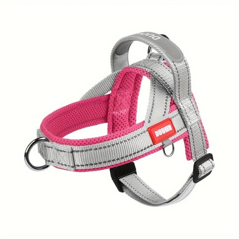 Summer French Bulldog Harness