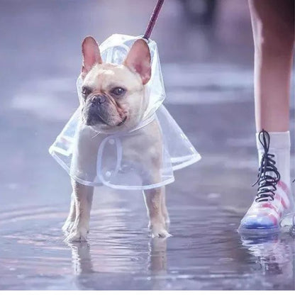 Transparent French Bulldog Raincoat