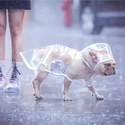 Transparent French Bulldog Raincoat