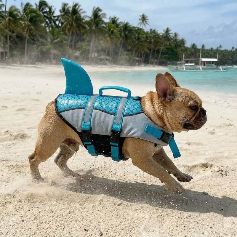 WaveRider Frenchie Life Vest