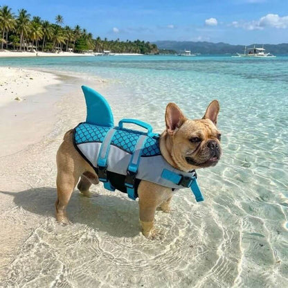 WaveRider Frenchie Life Vest