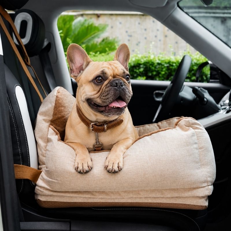 Waterproof Safety Frenchie Car Seat Bed